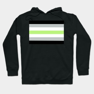 Agender Pride Flag Hoodie